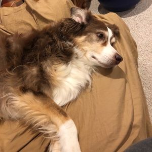 Meet your Posher, Autumn